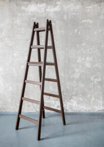 ladders 1
