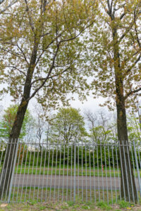 walk gates 2