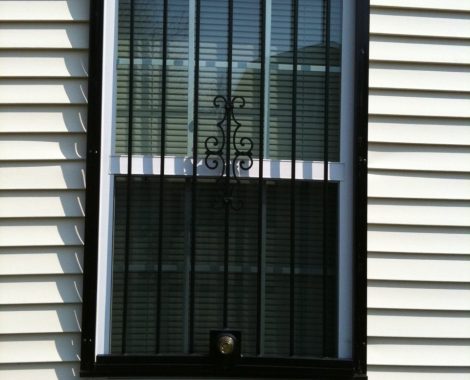 1 - Window Guards